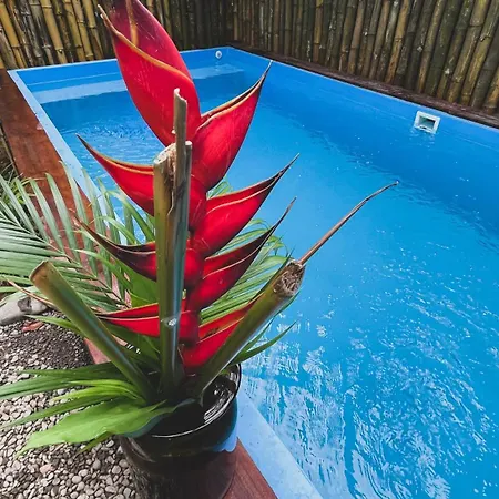 Brand New Huge Apt With Air Conditioner And A Private Pool And Kitchen Cocles Exterior photo