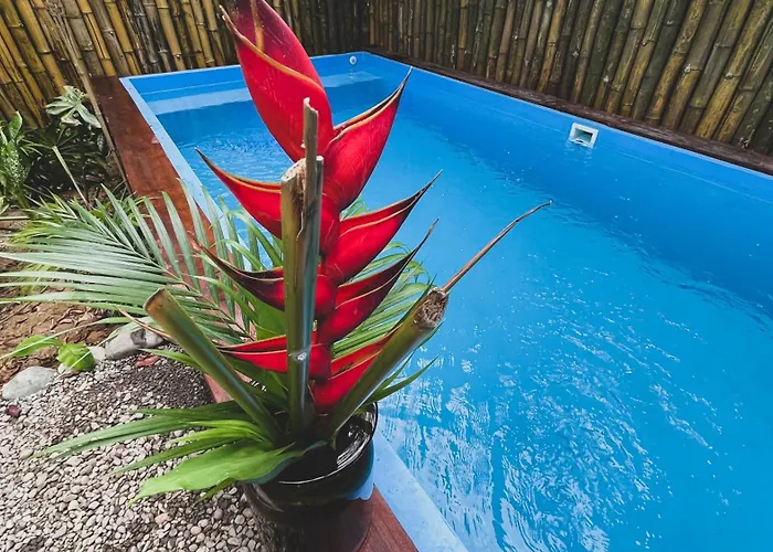 Brand New Huge Apt With Air Conditioner And A Private Pool And Kitchen