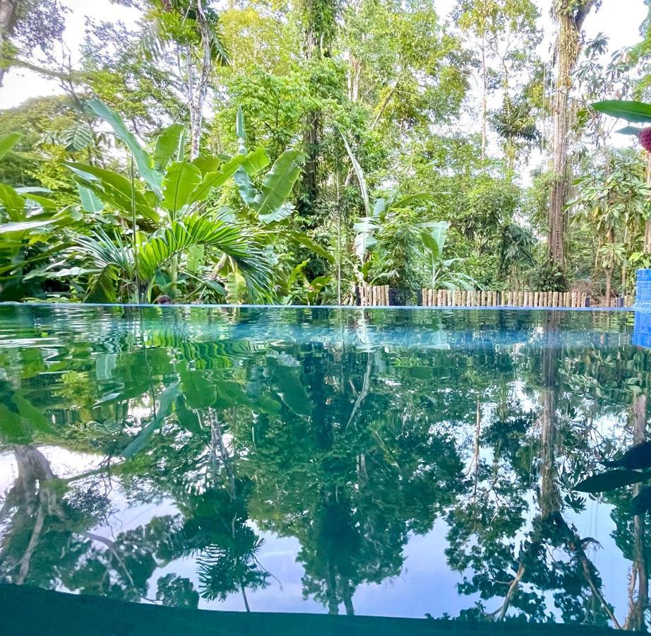 Brand New Huge With Air Conditioner And A Private Pool And Kitchen Apartment