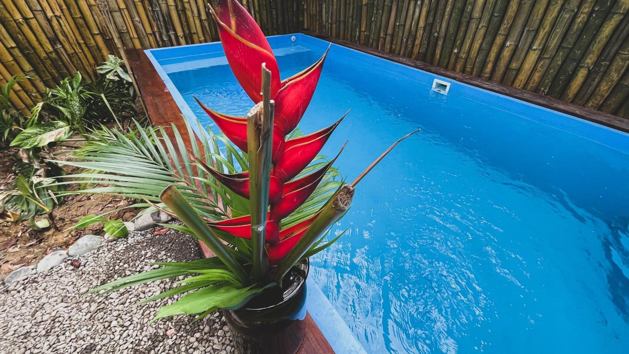 Apartment Brand New Huge With Air Conditioner And A Private Pool And Kitchen *